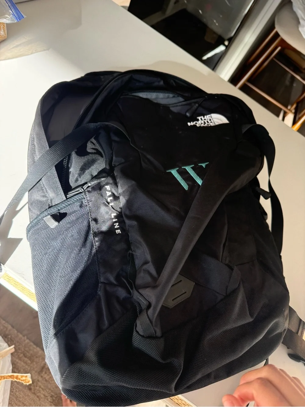 The North Face Fall Line Black Backpack